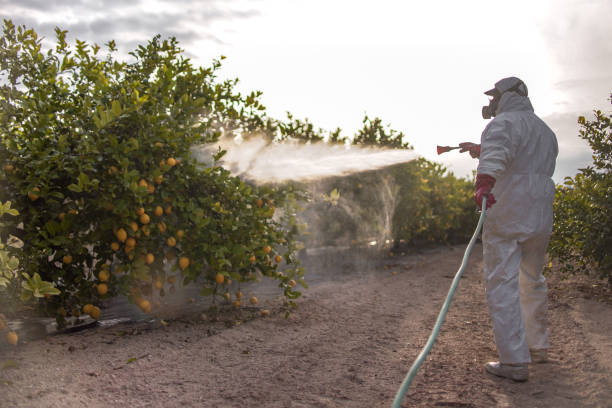 Best Emergency Pest Control  in Lakeland, NY