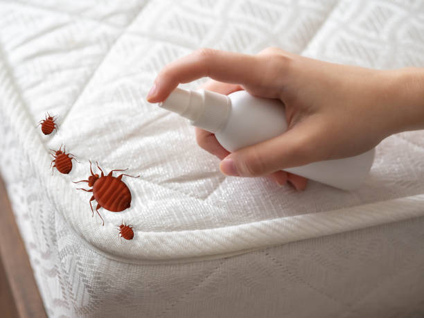 Best Residential Pest Control  in Lakeland, NY