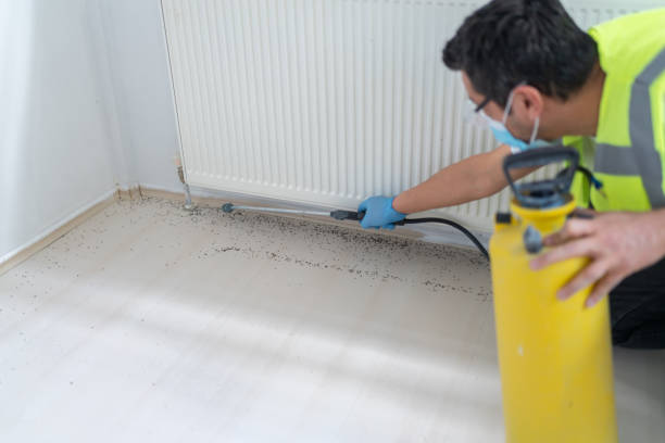 Best Exterminator Services  in Lakeland, NY