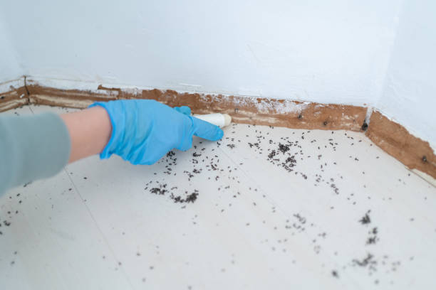 Best Pest Prevention Services  in Lakeland, NY